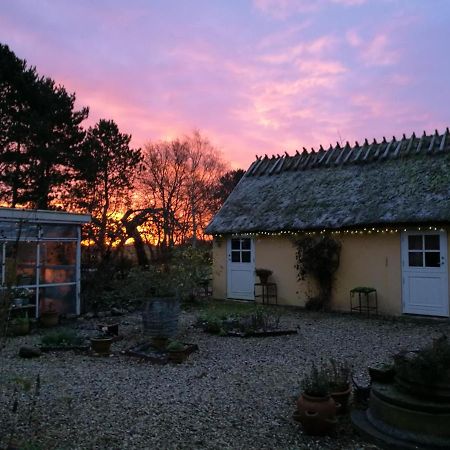 Bella Bed And Breakfast Stevns Arnoje Exteriér fotografie