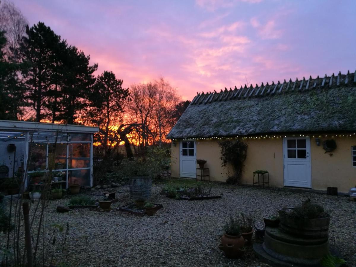 Bella Bed And Breakfast Stevns Arnoje Exteriér fotografie