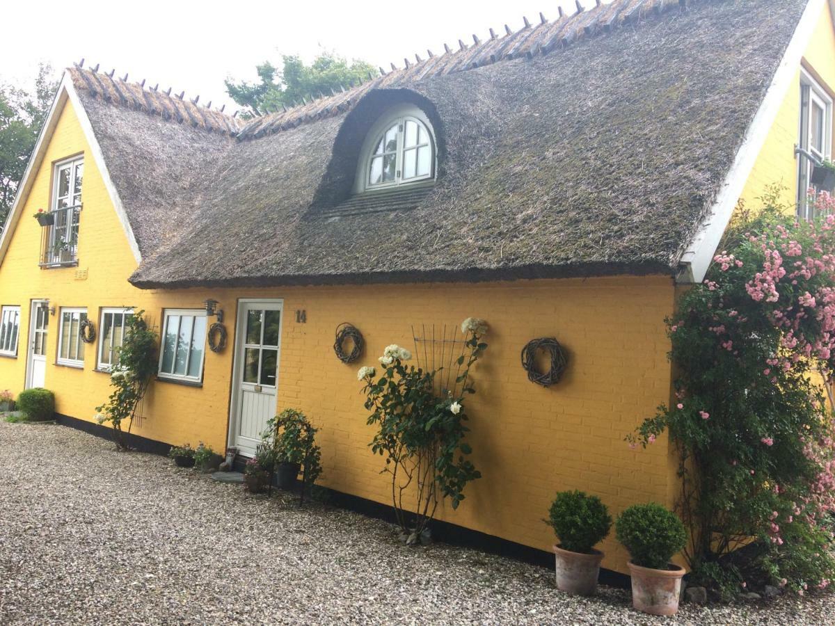 Bella Bed And Breakfast Stevns Arnoje Exteriér fotografie